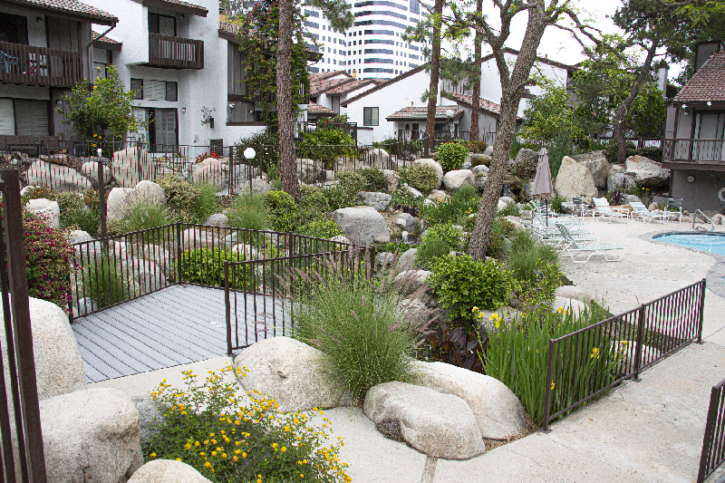 gallery-image 3